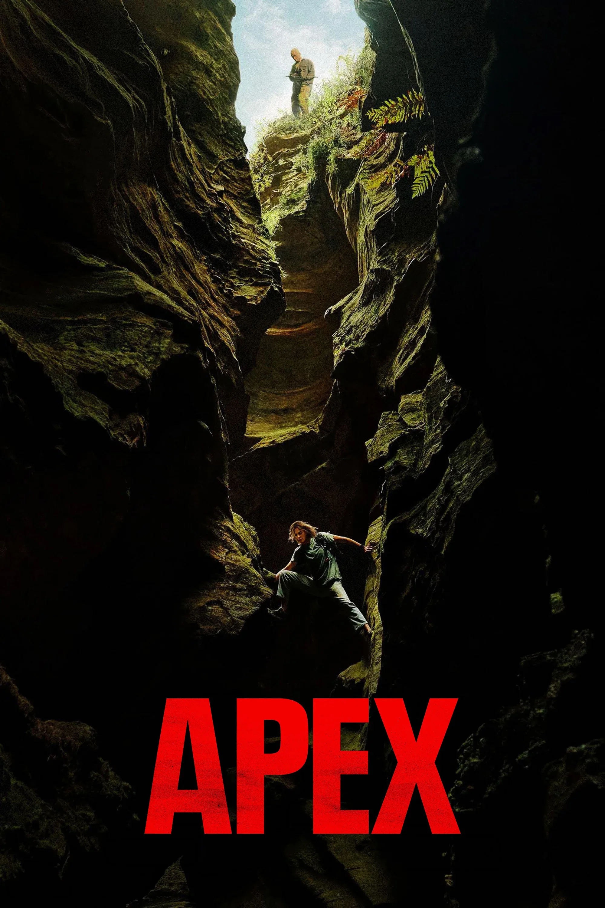 Apex 2026